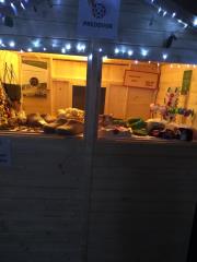 80998258_799942333763089_5778318089435217920_n