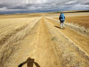 7247_1578926723_caminodemadrid