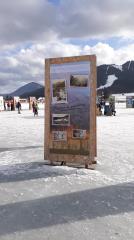 86185622_2509816205897842_426246027767447552_n