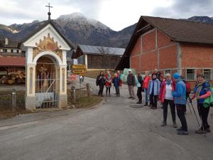 2020_2_11_bašelj_cvek2