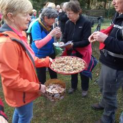 2020_2_11_bašelj_cvek4