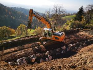 IMG_20201114_135006001