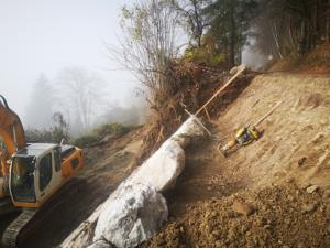 IMG_20201119_123027001