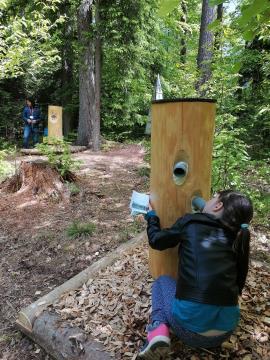 Skrivnost preddvorskih štorkelj