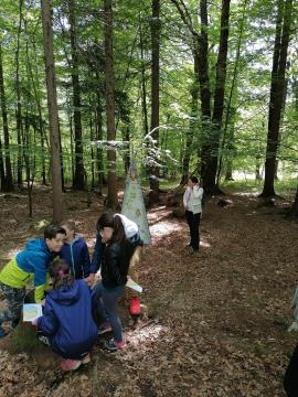 Skrivnost preddvorskih štorkelj