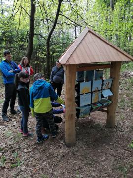 Skrivnost preddvorskih štorkelj