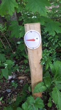 Skrivnost preddvorskih štorkelj