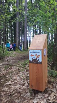 Skrivnost preddvorskih štorkelj