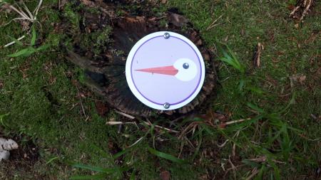 Skrivnost preddvorskih štorkelj