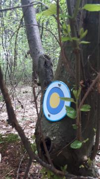 Skrivnost preddvorskih štorkelj