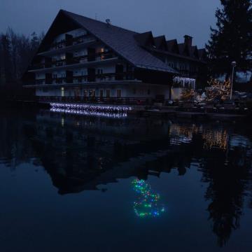 Potopljeno drevesce v preddvorskem jezeru