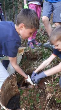 Že davno v gozd pripeljane smeti...