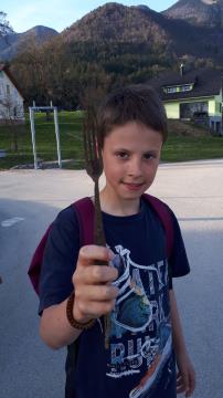 Najdba s čistilne akcije