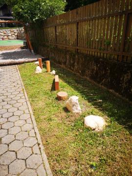 IMG_20220617_120109_resized_20220622_091322317