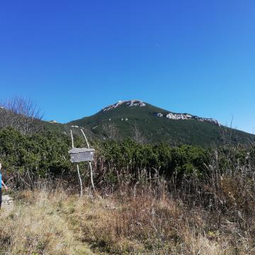 IMG_20221018_122917_1