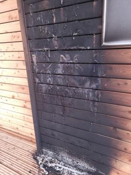 IMG-208551ce990d59b05dac9323f84e888c-V