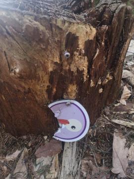 received_408483604824685