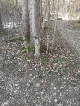 received_565715775478205