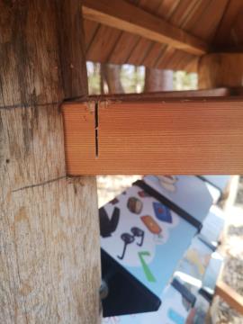 received_666427391925332