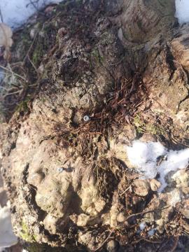 received_1137092620291796