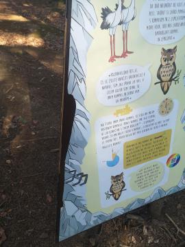 received_5861671787254894