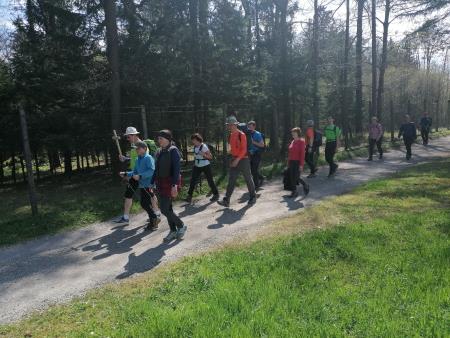 OD SVETNIKA DO SVETNIKA Z BELE PROTI BREGU