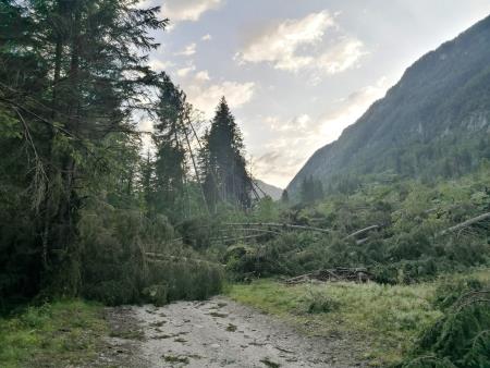 IMG_20230720_063835~2