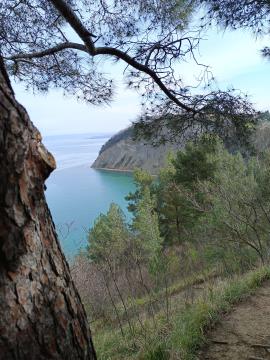 IMG_20240312_103528
