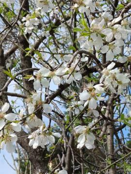 IMG_20240312_112846