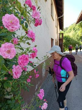 FB_IMG_1718779254328