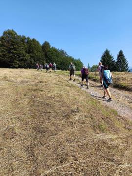 FB_IMG_1718779258899