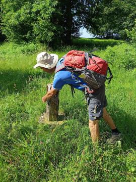 FB_IMG_1718779263387