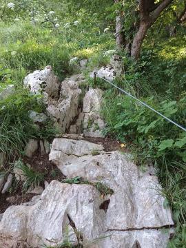 FB_IMG_1720597035359