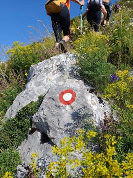 FB_IMG_1720597068401