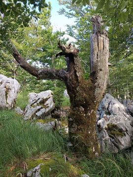 FB_IMG_1720597076493