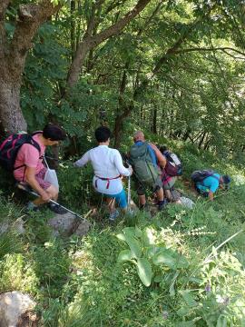 FB_IMG_1720597083484