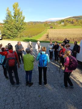 FB_IMG_1728468629151