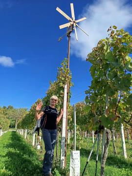 FB_IMG_1728468663492