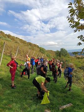 FB_IMG_1728468701715