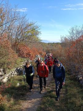 FB_IMG_1732010585883