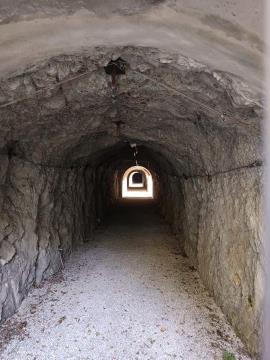 FB_IMG_1732010603323