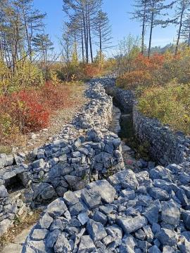 FB_IMG_1732010622445