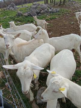 FB_IMG_1733897938179