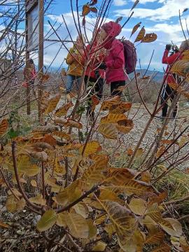 FB_IMG_1733897962427