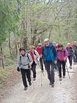 FB_IMG_1744263357714