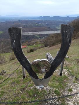 FB_IMG_1744263378025