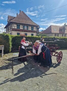 547596571_796348053082170_5257816421904853736_n