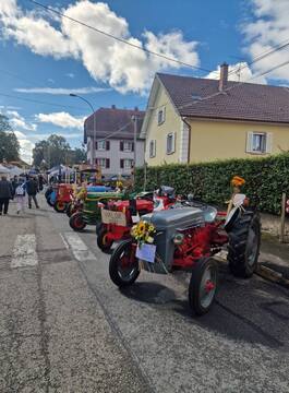 547009982_796348079748834_6837141768588352388_n