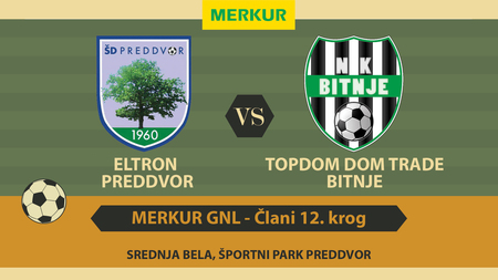 Eltron_Preddvor-Bitnje